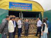 GREEN TECHNOLOGY SOLUTIONS FOR THE RATTAN AND BAMBOO CRAFT INDUSTRY