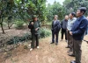 Nâng cao kỹ thuật thâm canh cây ăn quả gắn với kinh tế tuần hoàn