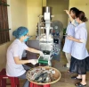 Hướng tới nền nông nghiệp hiện đại