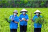 Xã Cam Lộ: Phát triển các sản phẩm OCOP