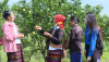 Connecting consumption of OCOP products in mountainous areas