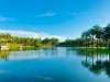 Khu lâm viên Cọ Dầu – Điểm thư giãn vào dịp cuối tuần