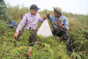 Chinh phục Voi Mẹp