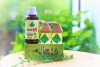 Người tiên phong phát triển thương hiệu tinh dầu thiên nhiên Quảng Trị