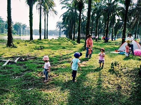 Cọ dầu là điểm picnic vô cùng thú vị (Ảnh: Hải Vân)