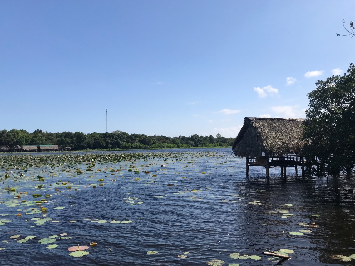 image 20191216090557 1