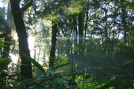 image 20200103092139 1