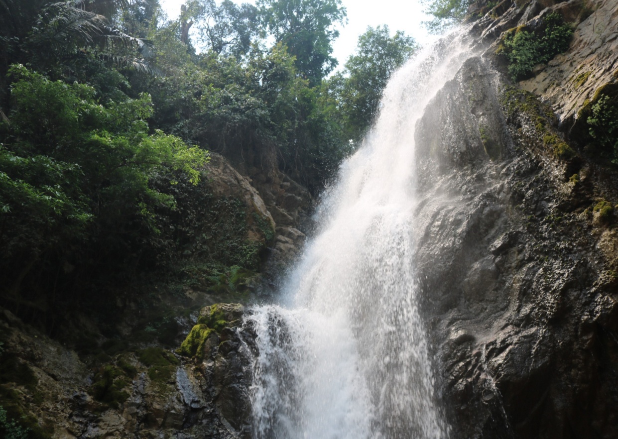 image 20200728144328 2
