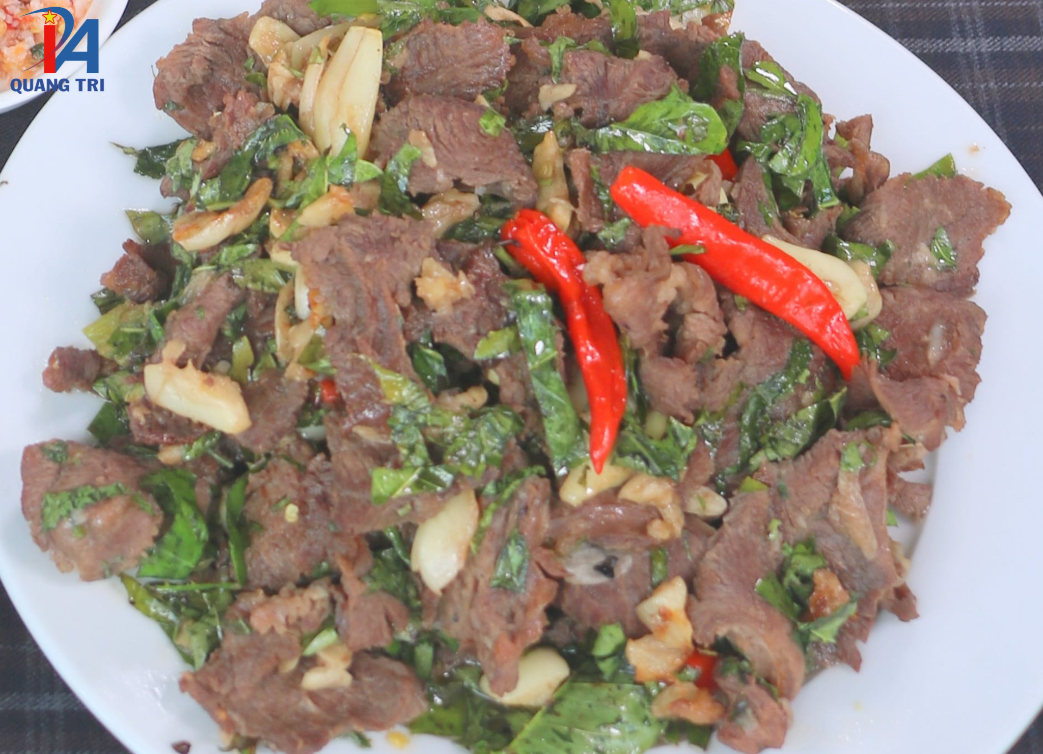 quangtri 6
