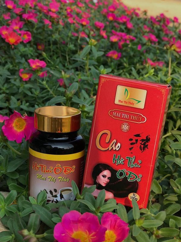 Cao Hà Thủ Ô