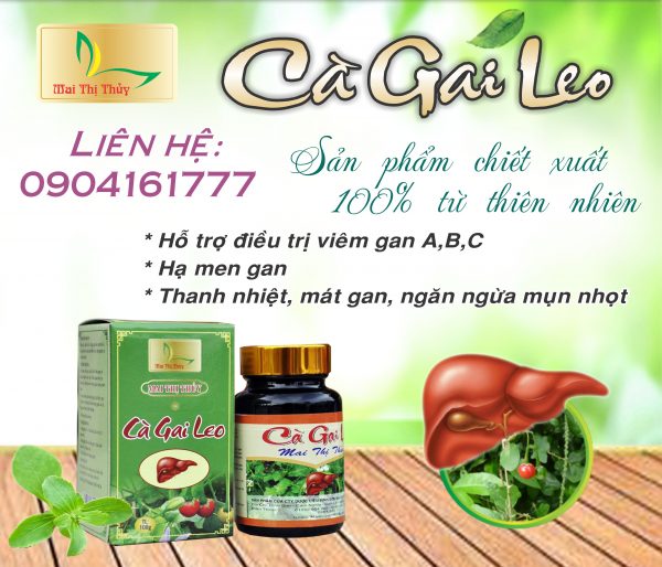 Cao cà gai leo